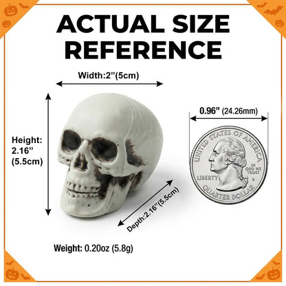 12 PCS Mini Skull Heads, 2 Inch Realistic Plastic Skeleton Skulls for Halloween Decor, Gothic Home Decor, Haunted House Props, DIY Crafts & Party Table Decor