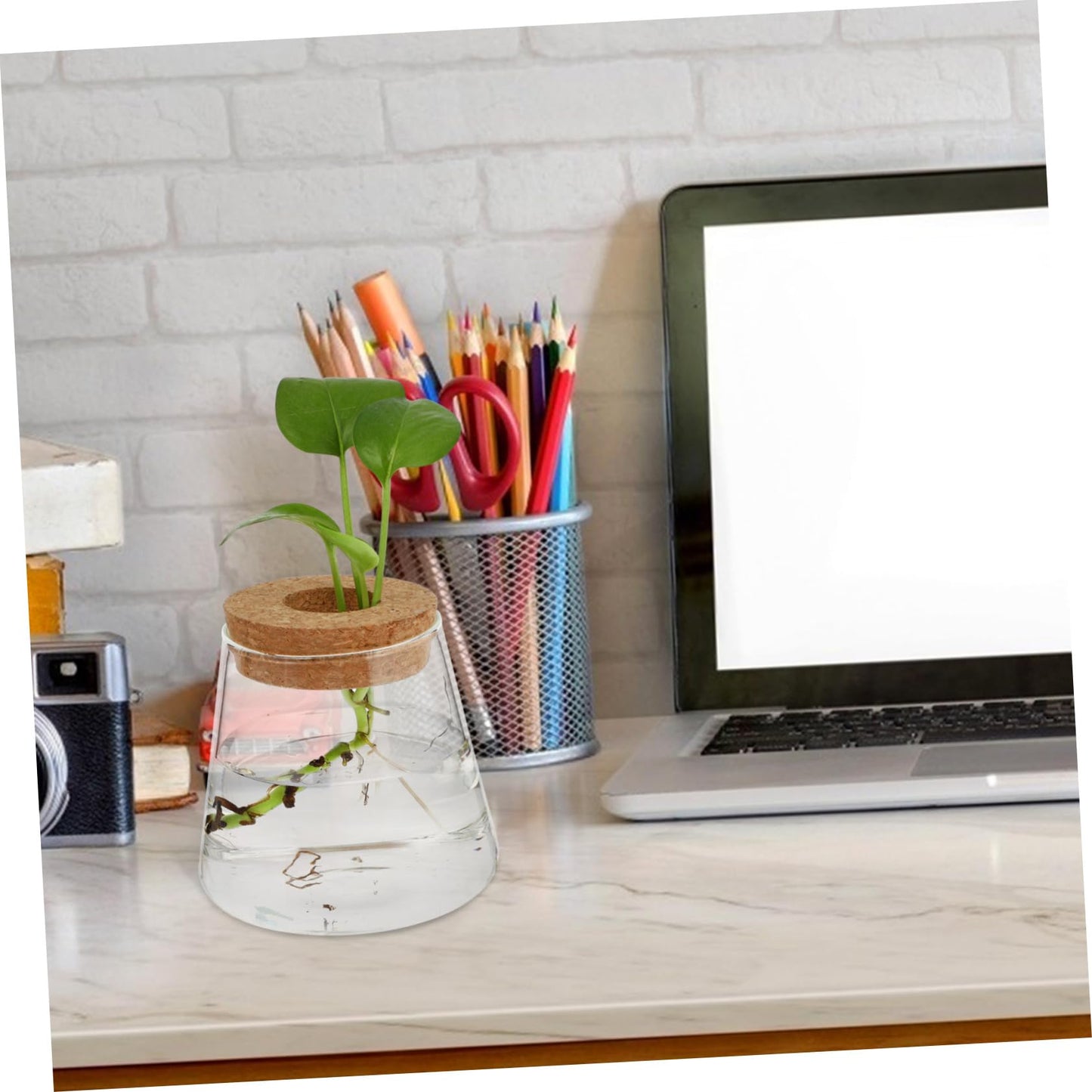 MAGICLULU 2Pcs Glass Terrarium for Hydroponics Plants Desktop Vases with Smooth Glass Craftsmanship Stylish Plant Propagation Jars for Home Office Decoration