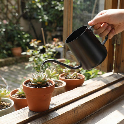 350ml Small Watering Can for Indoor Plants, 12oz Mini Plant Watering Pot with Long Spout and Handle, Black Tiny Stainless Steel Watering-Can for Outdoor Indoor Plants Flower Garden