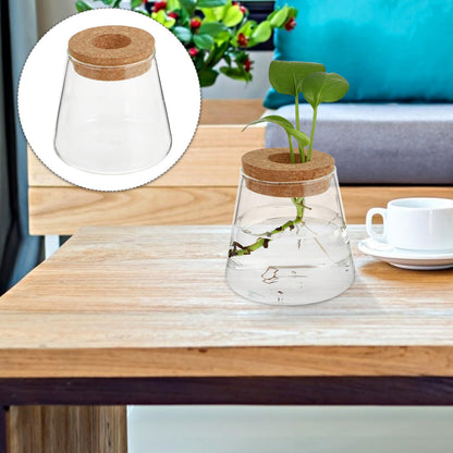 BESPORTBLE Glass Hydroponic Planter Vase 2pcs, 6.5cm Mouth Diameter Glass Plant Pots for Indoor Garden Decoration and Desktop Plant Propagation, Home Office Terrarium Environment