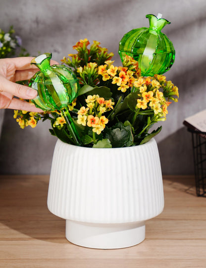 NiHome (2 Small + 2 Large) Plant Watering Globes 4-Pack, Glass Waterer for Potted Plants, Green Glass Cactus Self Watering Globe, Automatic Mini Irrigation System