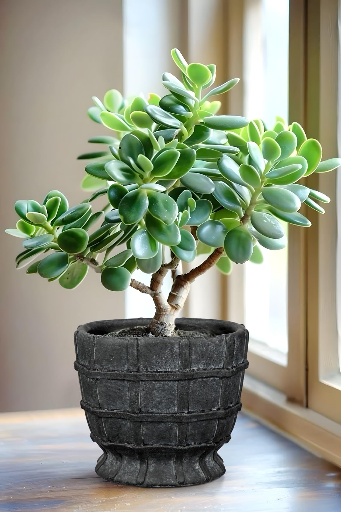 6" Black Ceramic Plant Pots with Drainage Hole, Rustic Flower Pots for Indoor Plants, Outdoor Decorative Ceramic Planters Small Plant Pot for Succulents, Cactus, Herbs, Orchids, Snake Plant Pot