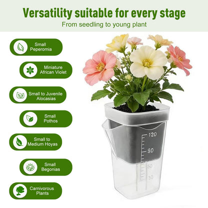 ckslkek 12 Pack 2.5 Inch Small Self Watering Pots for Indoor Plants with DIY Stickers, Clear Plastic Propagation Pots, Semi Hydroponic Pots for Leca PON, Includes 12 Plant Labels