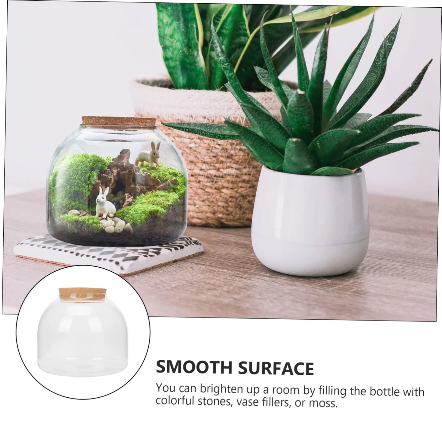 FUNOMOCYA Plant Terrariums Micro Landscape Bottle Glass Bottle Decor DIY Room Plant