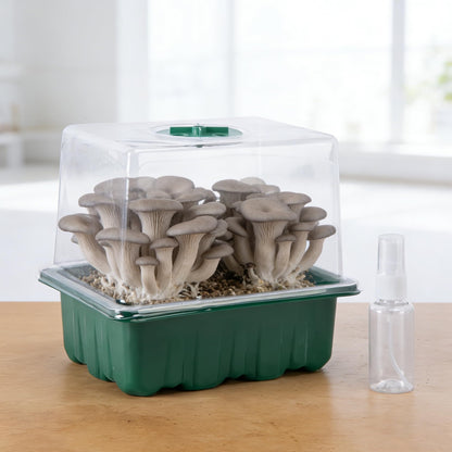 DECOHS 4 Pack Monotub Mushroom Grow Kit, 6.5" x 5" x 6.5" Small Mushroom Fruiting Chamber Propagation Boxes, Monotub Mushroom Growing Box Mini Greenhouse with Spray Bottle for Horticulture Supplies
