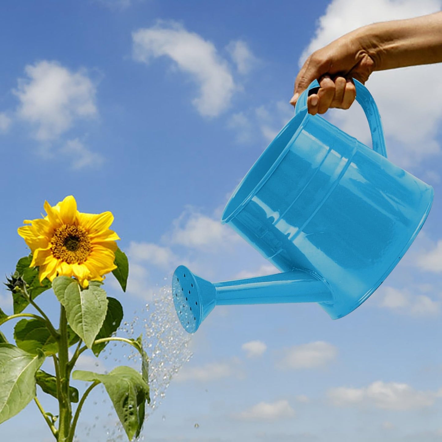 Metal Watering Can Gardening Tool Accessories, 1L Garden Watering Bucket Sprinkler Iron Watering Can for Outdoor Indoor Plants Lawn Garden (Blue)