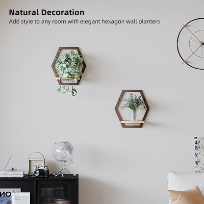 Rioneta 2 Pack Solid Wood & Heavy Duty Metal Wall Plant Stands,9 inch Natural Wood Shelf, Boho Arch Hanging Planter for Indoor 25 LB Load for Plants Coffee