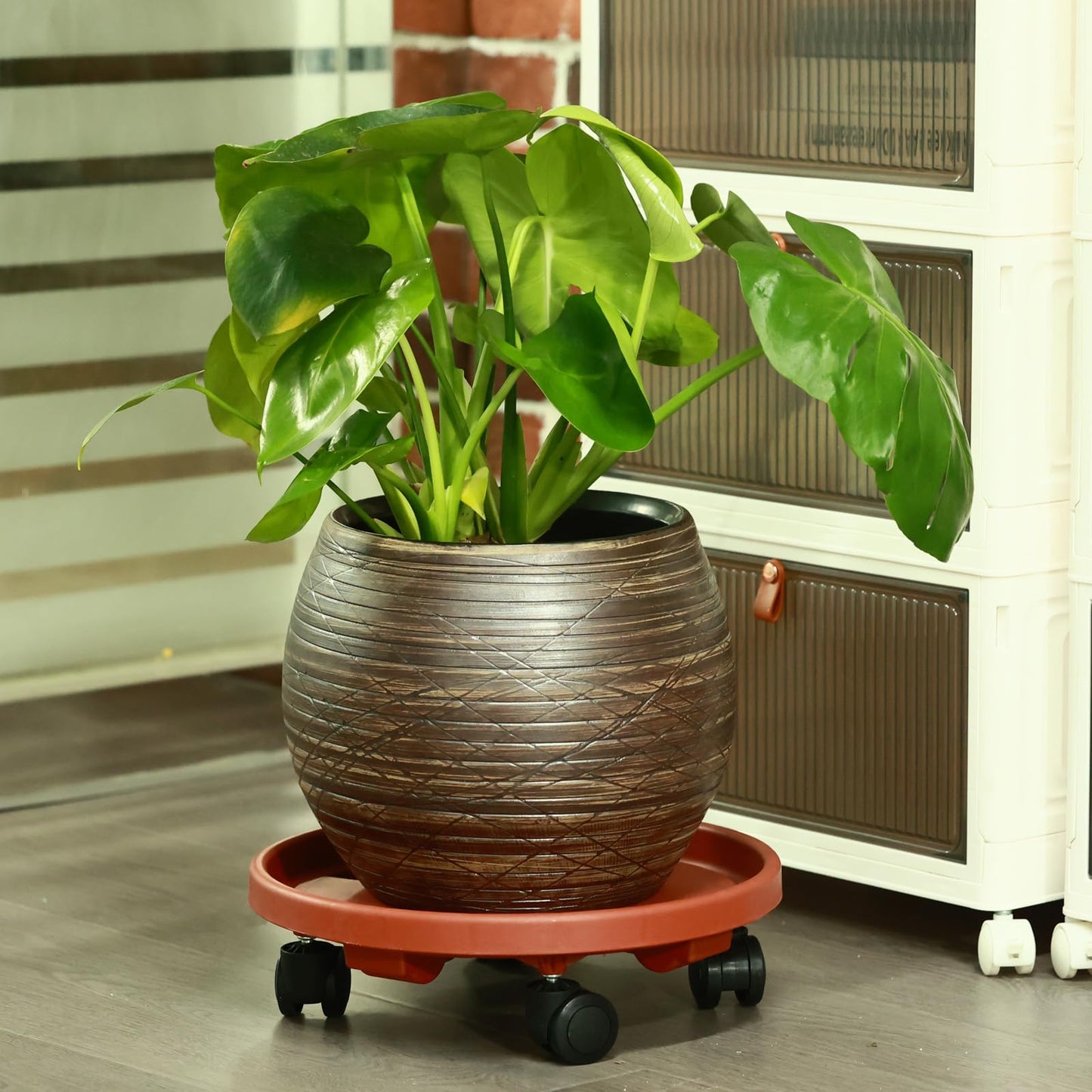 3 Pakcs Large Plant Caddy with Wheels 15.8" Rolling Plant Stands Heavy-duty Plastic Plant Roller Base Pot Movers Plant Saucer on Wheels Indoor Outdoor Plant Dolly with Caster Tray Coaster, Black