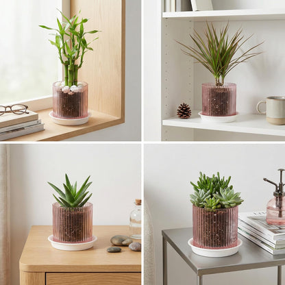 Hestremo Pink Glass Plant Pots Indoor, 5 inch Clear Orchid Pots with Drainage Holes & Trays, Small Glass Planter for Indoor Plants, Herbs, Succulent Flower Planter with Ribbed Texture, Set of 2