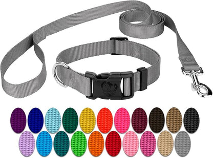 Country Brook Petz - Everyday Nylon Dog Collar and Leash - 10+ Cool Colors (3/4 Inch, Medium, Silver)