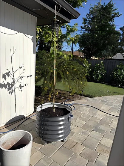 Rolling Metal Citrus Tree Planter, Self-Watering Round Large Pot for Growing Trees Tomatoes Outdoor Plants Vegetables and Flowers, Raised Garden Bed with Wheels for Porch Patio & Backyard, Modern Gray