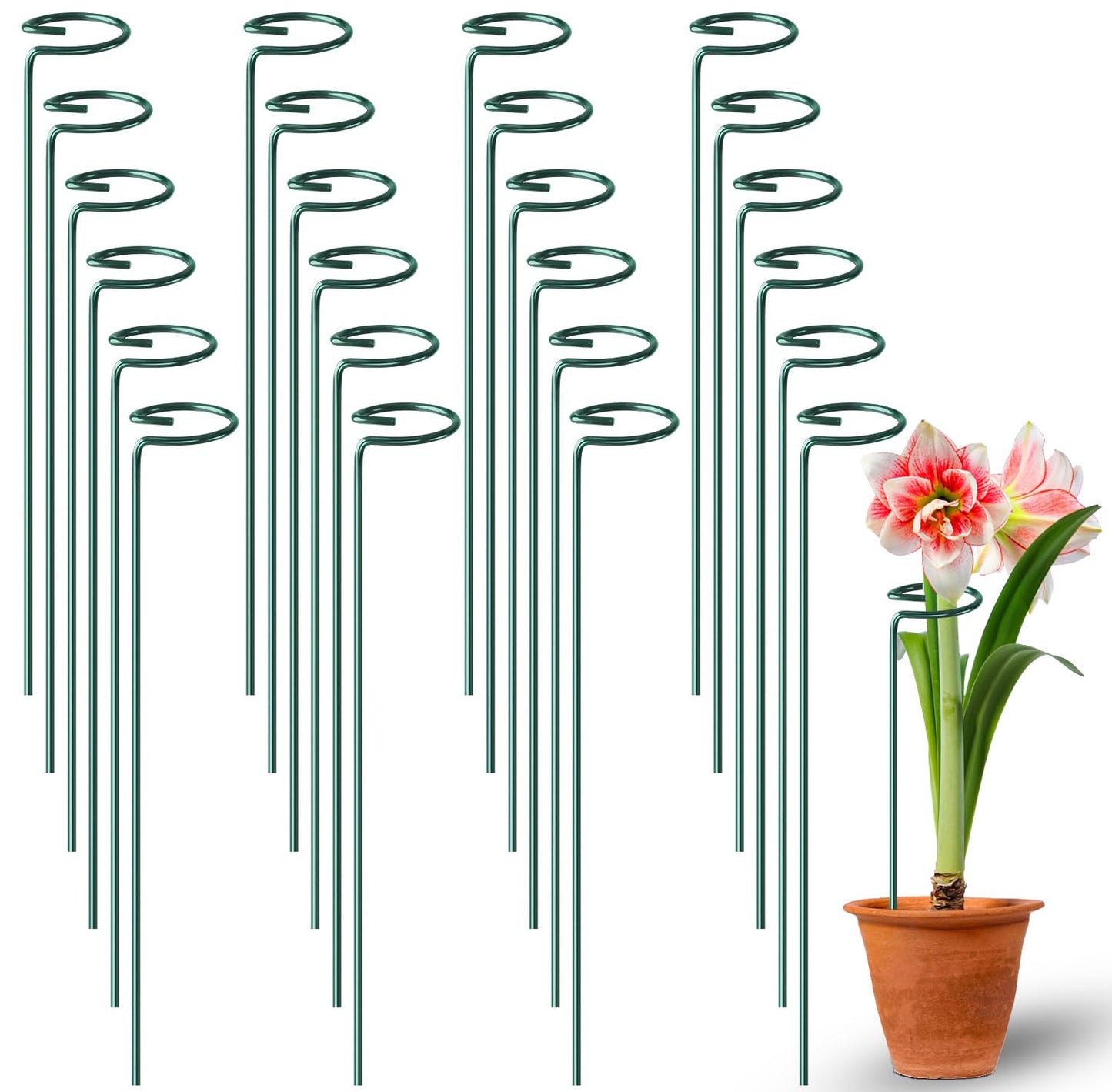 Fabulas 24 Pack Plant Support Stakes, 16 Inch Metal Garden Plant Stakes Single Stem Support Rings for Indoor Outdoor Amaryllis, Flowers Orchid, Lily, Peony, Rose, Tomato, Monstera, Narcissus
