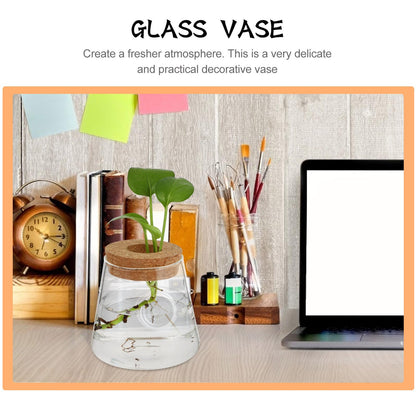 FOMIYES 2pcs Hydroponic Plants Vase Glass Terrarium Round Flower Vase 6.5cm Mouth Diameter Desktop Planter for Indoor Hydroponics Home Office Décor