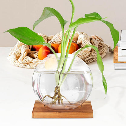 ABOOFAN Glass Hydroponic Flower Planter with Wood Base, Desktop Glass Vase for Home and Office Decor, Hydroponic Plant Terrarium Decoration