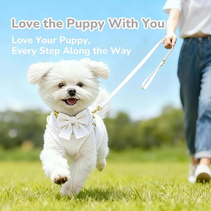 Small Dog Collar Harness and Leash Set with Bowtie, Adjustable Dog Harness Collar and Leash Set with Secure Metal Buckle, Breathable Cotton Adjustable Pet Puppy Harness, Easy Walk Harness, M(16-21")