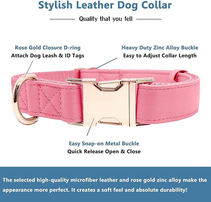 Soft Leather Dog Collar and Leash (6.6') Set - Stylish Rose Gold Heavy Duty Metal Buckle, 4 Adjustable Lengths Leash for Small Medium Large Dogs - Comfortable & Easy to Clean Dark Pink XS(8"-12")