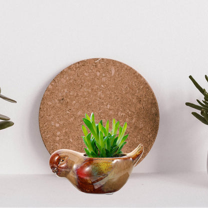 DOITOOL Ceramic Succulent Pots Bird Shaped Planter for Indoor Plants Small Decorative Pot Suitable for Home and Office Gardening