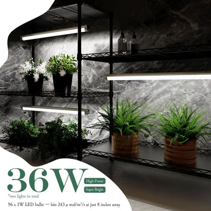 SQUEEZE master Indoor Greenhouse with Grow Lights-DIY Modular Plant Stand with 3-Tone Full Spectrum Lighting- Adjustable Shelves & 24H Timer-Rolling Plant Rack for Seed Starting