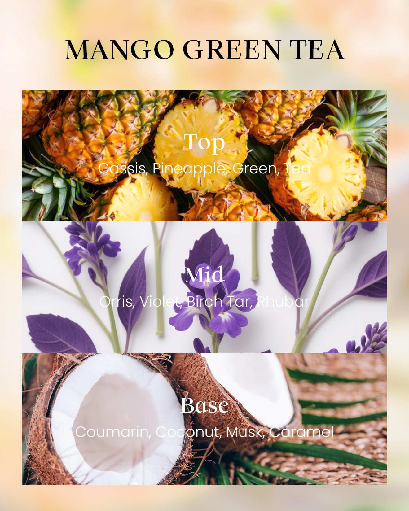 M&SENSE Mango Green Tea Soy Candle, 8.1oz 42H Slow Burning Non Toxic, Tropical Tea Aromatherapy, Summer Relaxation Gift