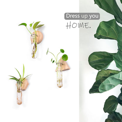 MITIME Wall Hanging Glass Planter Plant Propagation Station, Geometric Wooden Stand for Home Office Decoration