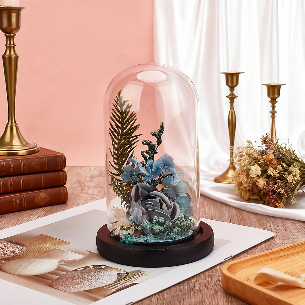 BENECREAT Glass Cloche Dome with Wood Base, 6.18x2.99inch Arch Display Dome for Plants and Collectibles, Complete Set Glass Bell Jar with Solid Wood Stand for Home Decor, Black