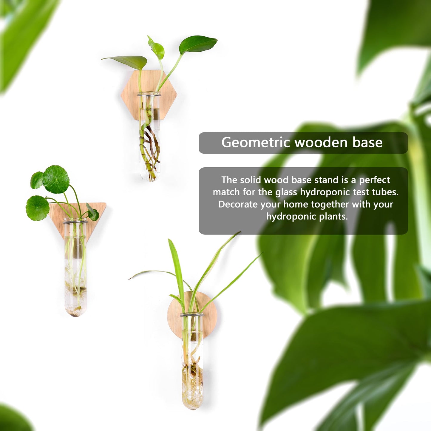 MITIME Wall Hanging Glass Planter Plant Propagation Station, Geometric Wooden Stand for Home Office Decoration