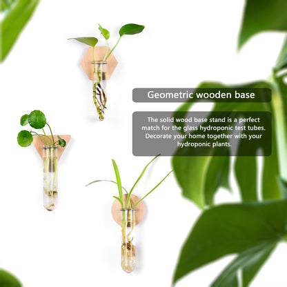 MITIME Wall Hanging Glass Planter Plant Propagation Station, Geometric Wooden Stand for Home Office Decoration