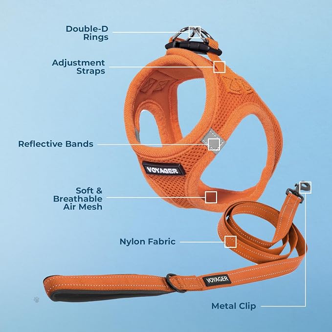 Best Pet Supplies Voyager Step-in Air All Weather Mesh Harness and Reflective Dog 5ft Leash Combo with Neoprene Handle, for Small, Medium and Large Breed Puppies - Set (Orange), XXX-Small