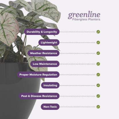 Greenline Jack Square Cube Planter - Indoor/Outdoor Large Fiberglass Lightweight Planter - 28" x 28" x 28" (Gloss Eggplant)