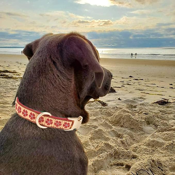 Woven Dog Collar with Metal Buckle Adjustable Jacquard Retro Dog Collars for Small Medium Large Dogs(Brick Red,M)