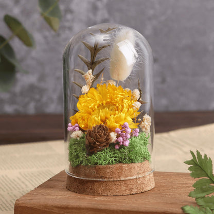 Kanlpeia 6 PCS Glass Dome with Cork, Decorative Jar & Bell Jar Display Cloche 2.37x3.94 in Clear Glass Cloche with Base for Miniatures, Succulents, Collectibles, Specimens & DIY Terrariums