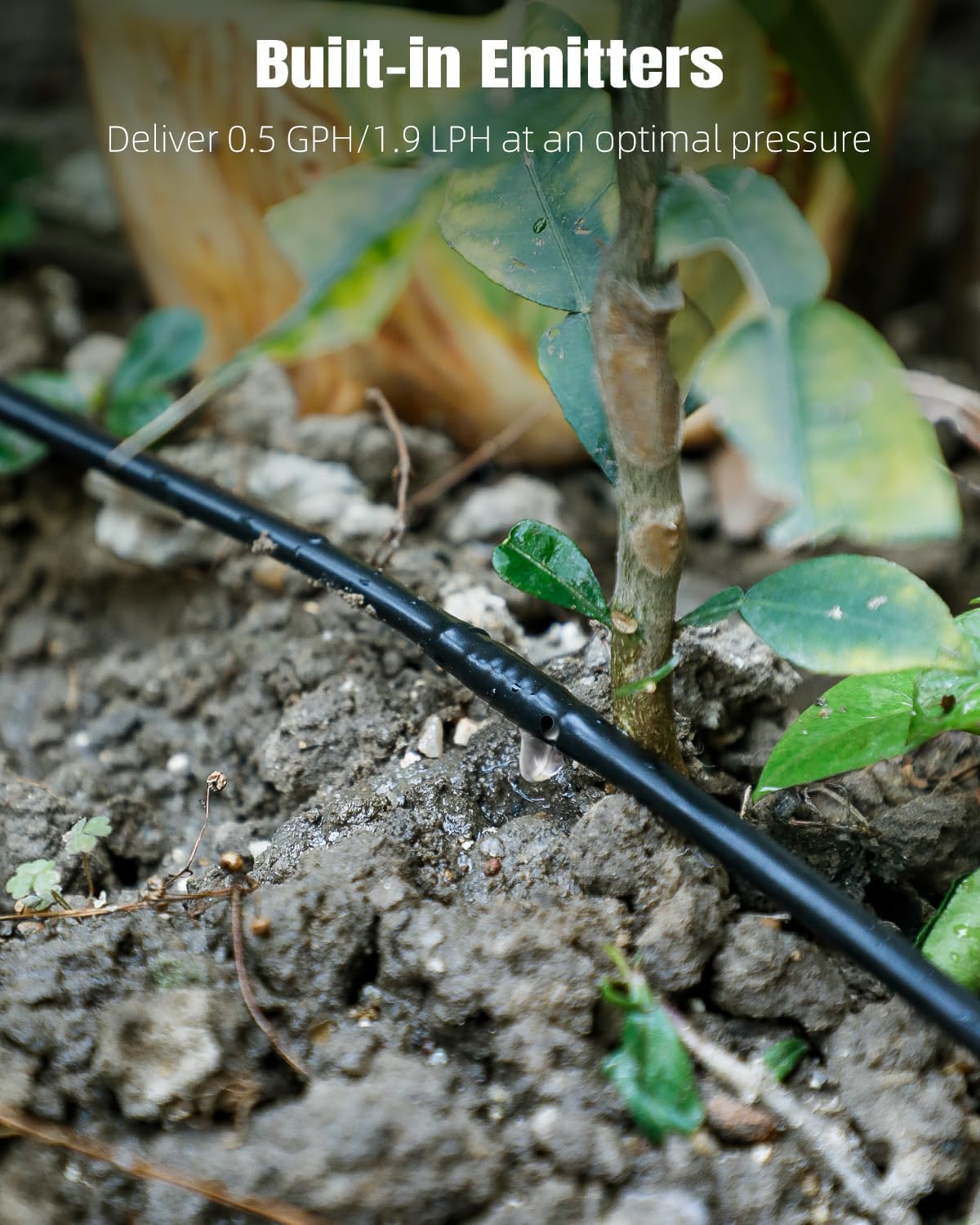 Pawfly 200 ft. 1/4" PE Irrigation Dripline Tubing, Black Polyethylene Distribution Line, Quick-Connect Compatible Drip Hose for Small Garden & Potted Plants