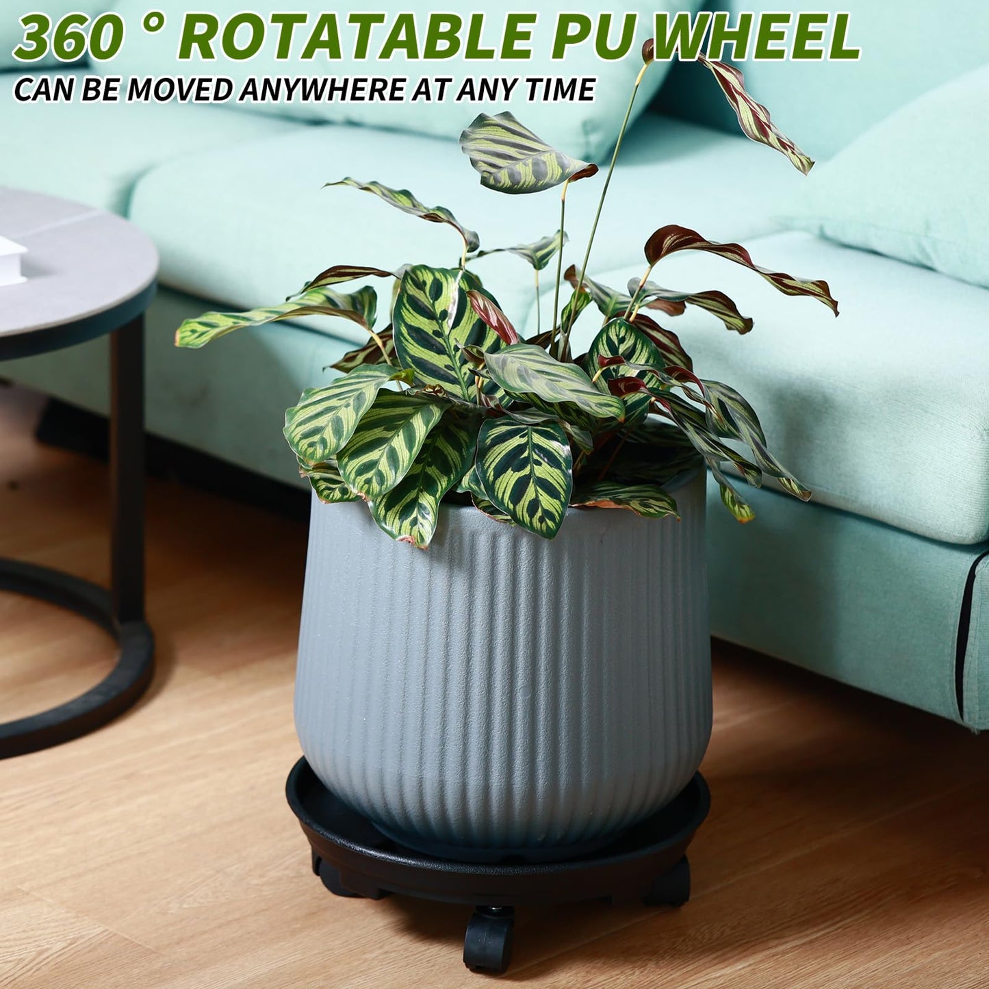 6 Packs 13 Inches Large Plant Caddy with Wheels Plant Saucers on Wheels Rolling Plant Stands Heavy-duty Plant Dolly Plastic Planter Roller Base Pot Movers Outdoor Plant Tray Coaster, Black