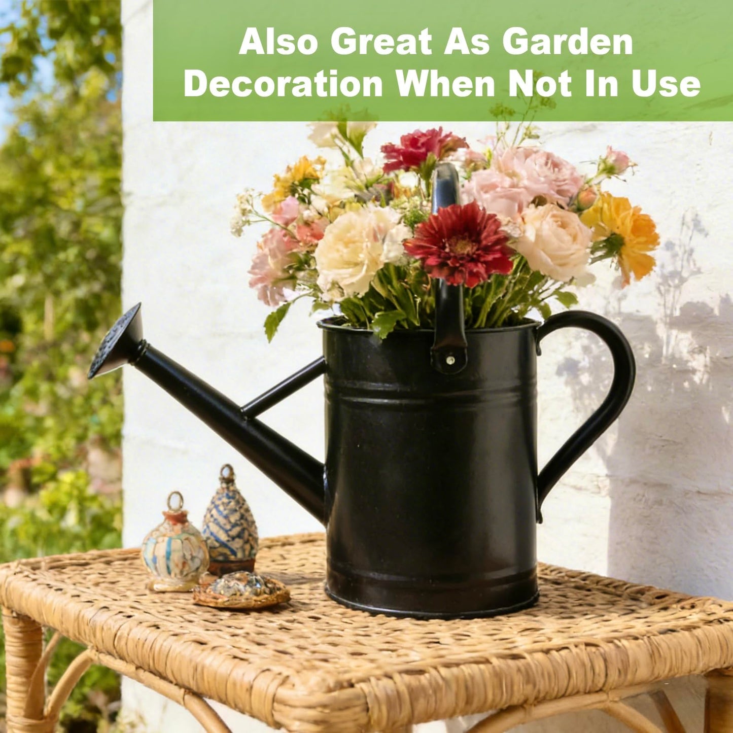 Watering Can for Outdoor&Indoor Plants，1 Gallon Metal Watering Can with with Removable Spout，Galvanized Steel Garden Flower Water Can Plant Watering Pot with 2 Handles，Black