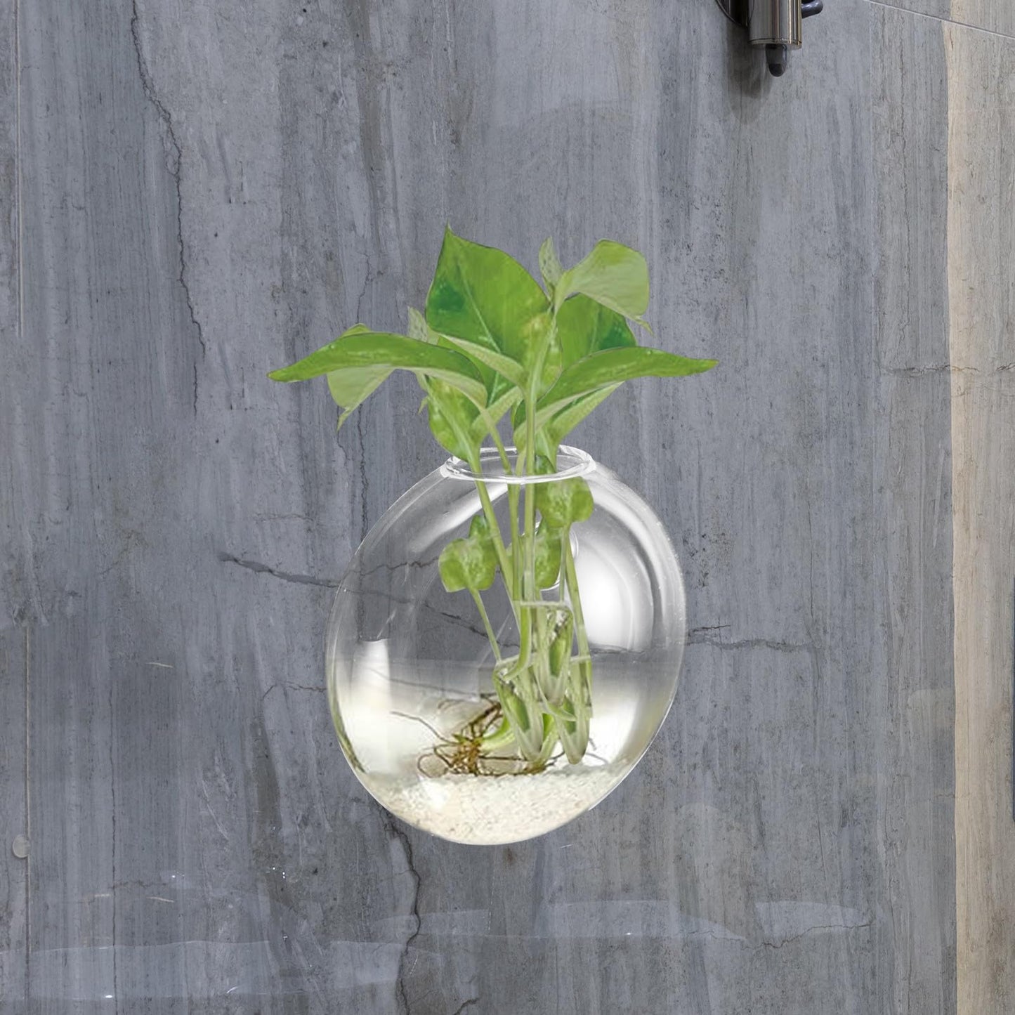 GRADENEVE Wall Hanging Glass Terrarium Planter Vase Hydroponic Flower Holder Glass Plant Bottle Decorative Home Décor for Indoor Use,