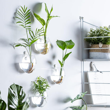 wangsdjy Wall Mount Plant Propagation Station - Clear Hydroponic Glass Vase, Oblate Planter for Indoor Plants | Perfect for Home, Office, Bathroom Decor | Gift for Plant Lovers (4)