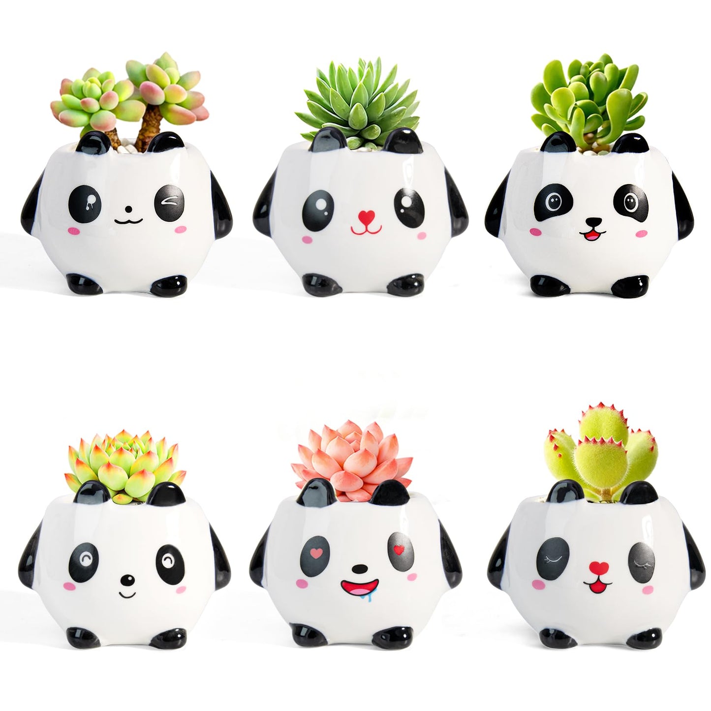 Set of 6 Small Cartoon Plant Pots with Drainage - 3.5 Inch Animal Succulent Planters - Mini Ceramic Cactus Pots, Air Plant Holder for Window Sill, Office, Bookshelf Decor
