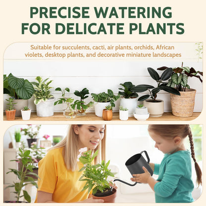 Small Watering Can Indoor Plants - 12 oz Mini Metal Watering Can with Long Spout Rust-Proof Stainless Steel Tiny Watering Pot for Small Indoor Plants Home & Office Black