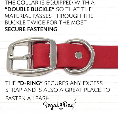 Regal Dog Products Small Red Waterproof Dog Collar and Leash Set | Heavy Duty Double Buckle & D Ring - 5'ft Leash | Adjustable Biothane Dog Collar | Chew Resistant Waterproof Collar for Dogs