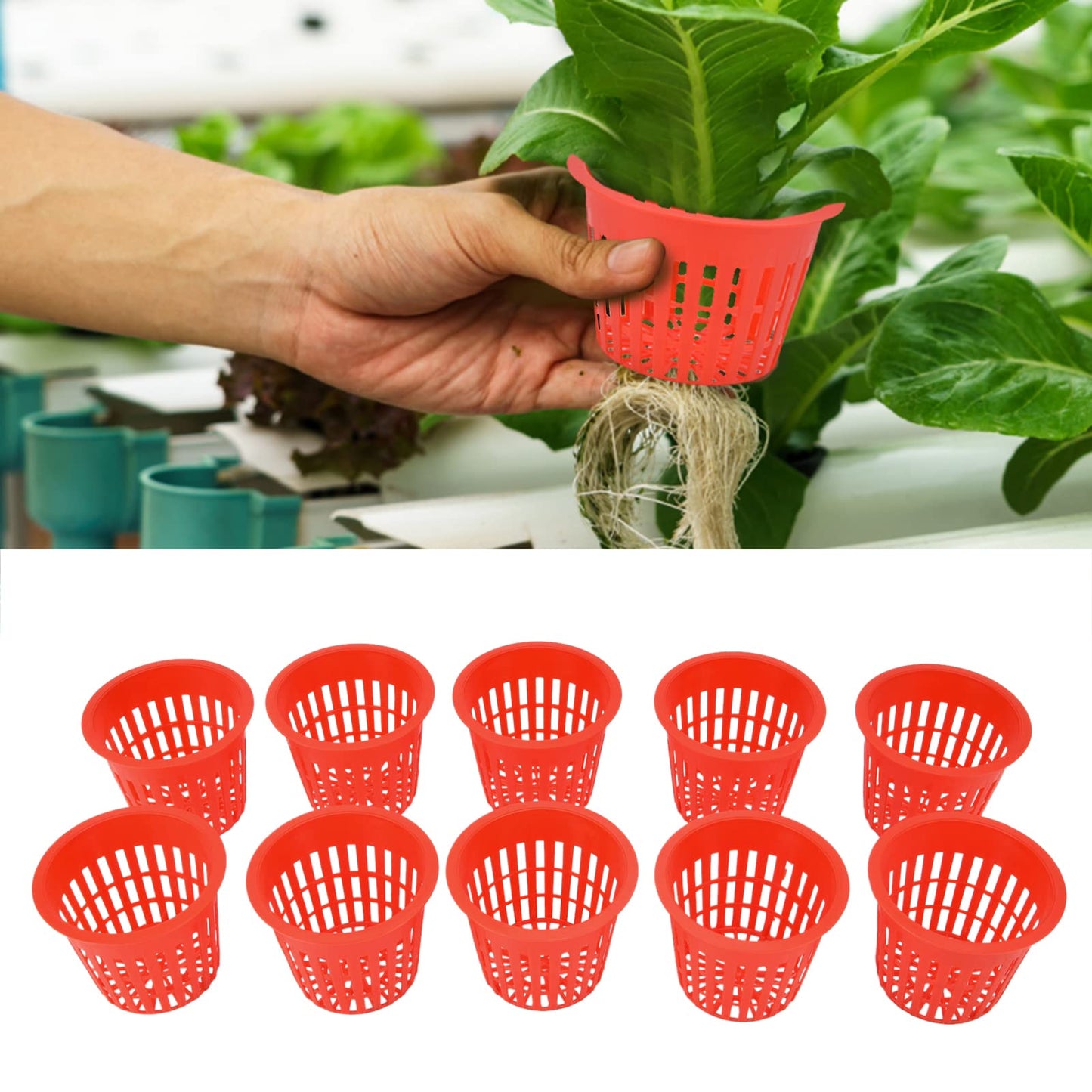 Hydroponic Baskets, 10PCS Plastic Hydroponic Cups, 3 3 in Red Soilless Root Fixer Containers Cups, Round Mesh Pot Net Basket for Garden Balcony Flowers Planting Cultivation