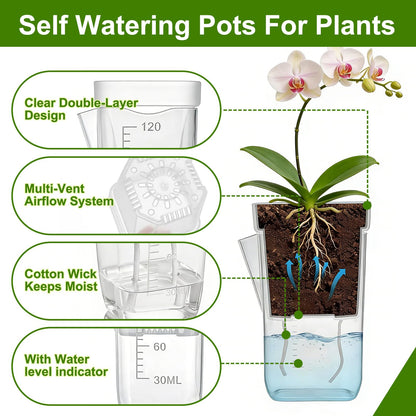 HITOSTAR 12 Pack 2 Inch Mini Clear Self Watering Pots for Indoor Plants, Small Plastic Planters with Drainage, Hydroponic Nursery Propagation Cups, for African Violet Alocasia Pot (2 Inch, 12Pack)