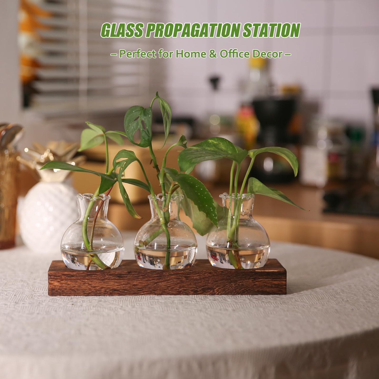 Bettstation Plant Propagation Station, Plants Terrarium with Wooden Stand Bulb Glass Vase Planter Gift for Plant Lovers Home Office Decor