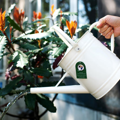 HORTICAN 1 Gallon Watering Can, Matte Cream, Metal Watering Can with Removable Spout, Galvanized Water can, Perfect Plant Water Can for Outddor and Indoor Use