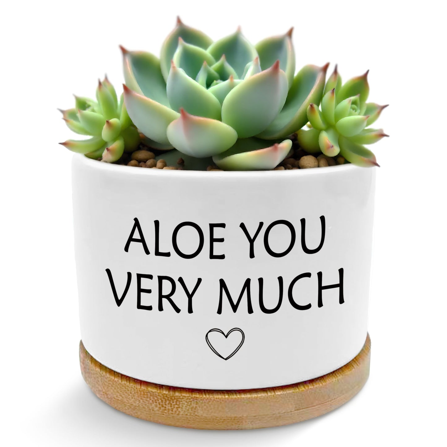 ROXMART Aloe You Very Much Funny Plant Pots, Gardener Gifts for Women Men Succulent Planters, Funny Gardening Gifts Ceramic Plant Flower Pots for Home Office Desk Table Shelf(No Plants)