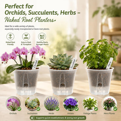 Sileasncei Self Watering Pots Clear – 5 Pcs 6" Indoor & Outdoor Planters, Deep Reservoir, High Drainage & Breathable Design, Perfect for Busy, Travel, Beginner Plant Care