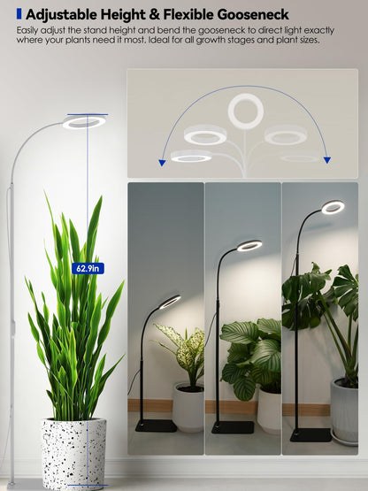 GLOWRIUM Grow Lights for Indoor Plants, Full Spectrum LED Grow Light Floor Lamp with Stand Adjustable Height and Angle, Black Plant Light with 3/9/12H Grow Light Timer (White, 36W)
