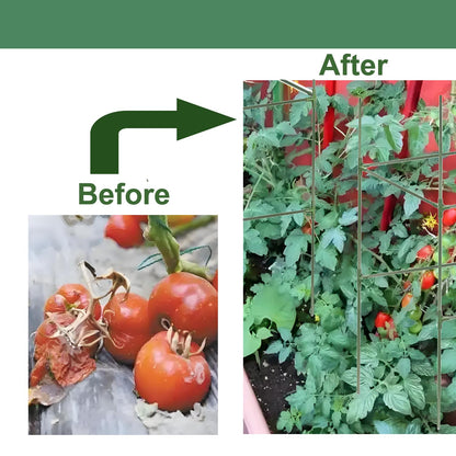 Cucumber Trellis for Plant Climbing- Cucumebr Arch Trelli for Flower Vine Vegetable Tomato Cage Raised Bed- Foldable Garden Tunnel Trellis