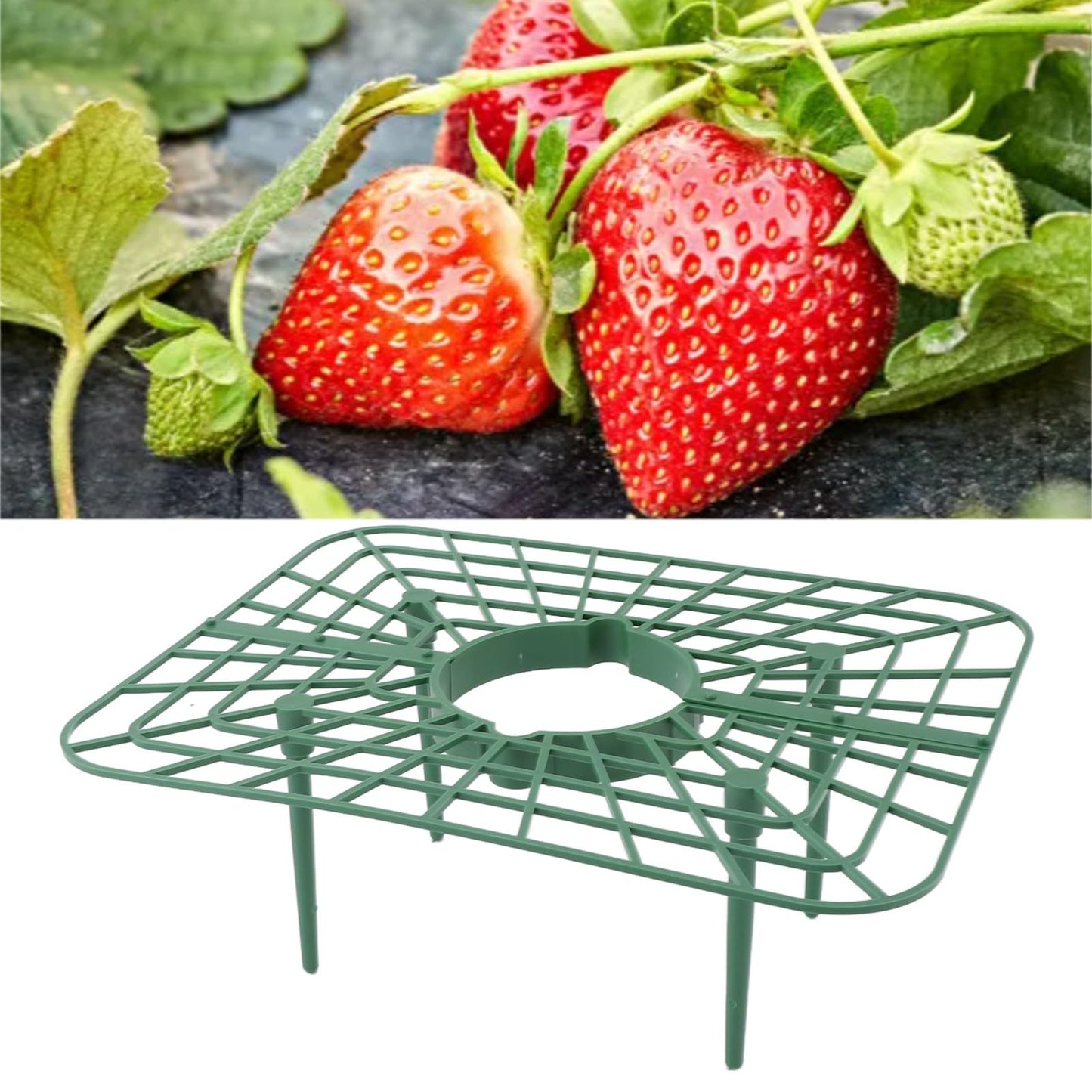 Sunicon 20Pcs Strawberry Supports, Detachable PP Waterproof Reusable Square Strawberry Growing Racks Plant Support Strawberry Stand Holder for Soil Planting Indoor Pots