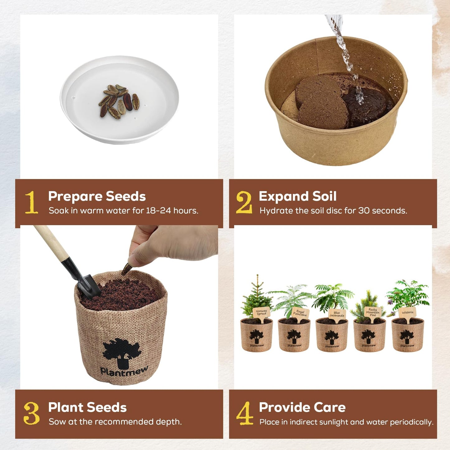 Bonsai Starter Kit for Adults – Complete Indoor Tree Growing Set with Jacaranda Seeds, Tools & Planter | DIY Gardening Hobby Kits for Plant Lovers, Unique Easter Gifts for Men & Women