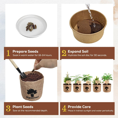 Bonsai Starter Kit for Adults – Complete Indoor Tree Growing Set with Jacaranda Seeds, Tools & Planter | DIY Gardening Hobby Kits for Plant Lovers, Unique Easter Gifts for Men & Women